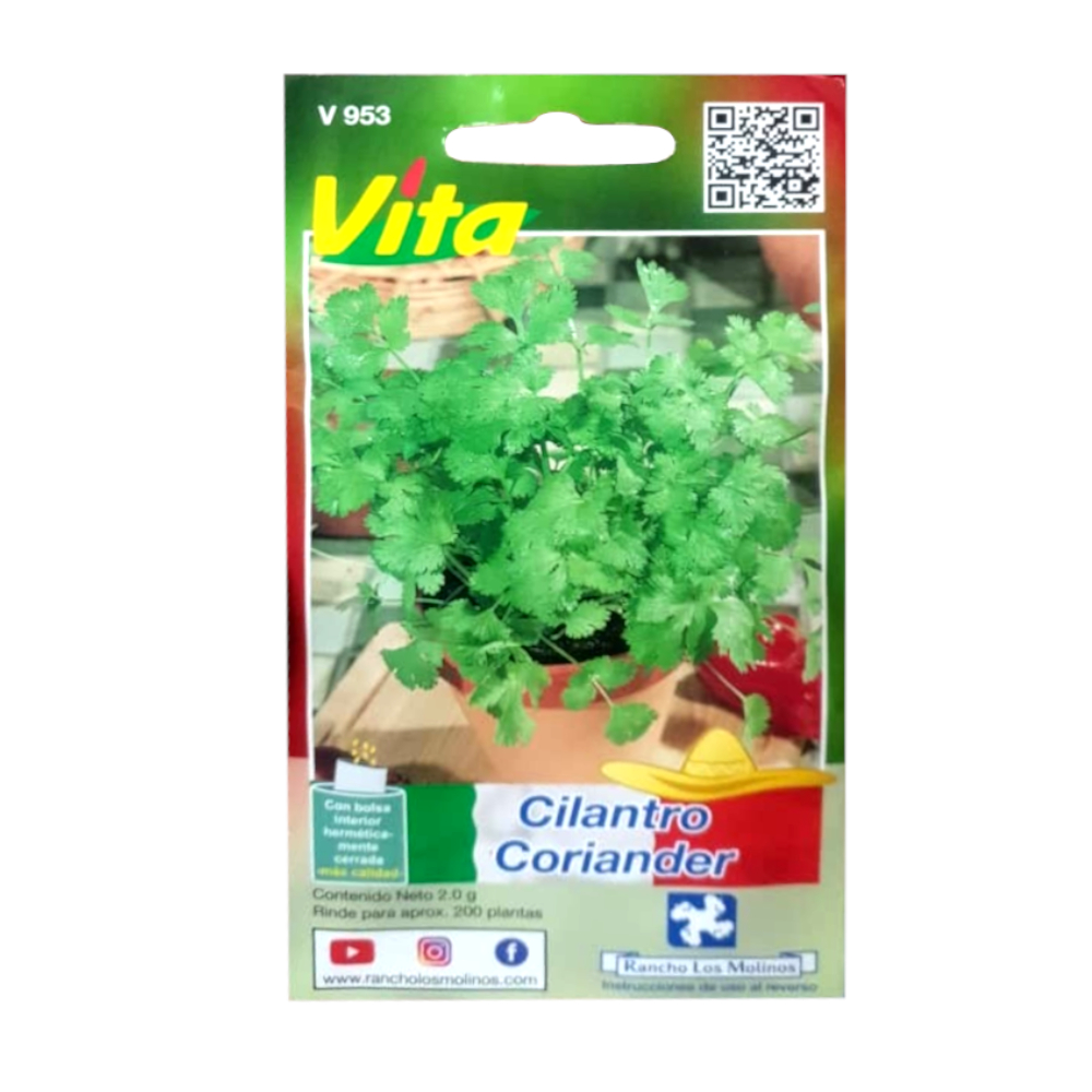 Semillas De Cilantro Vita 2 G Supermarket 23 Es Una Tienda Para